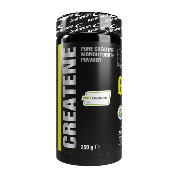 CREATINA SIMPLEX 250GR ANDERSON