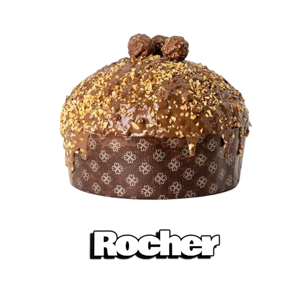 PANFIT ROCHER